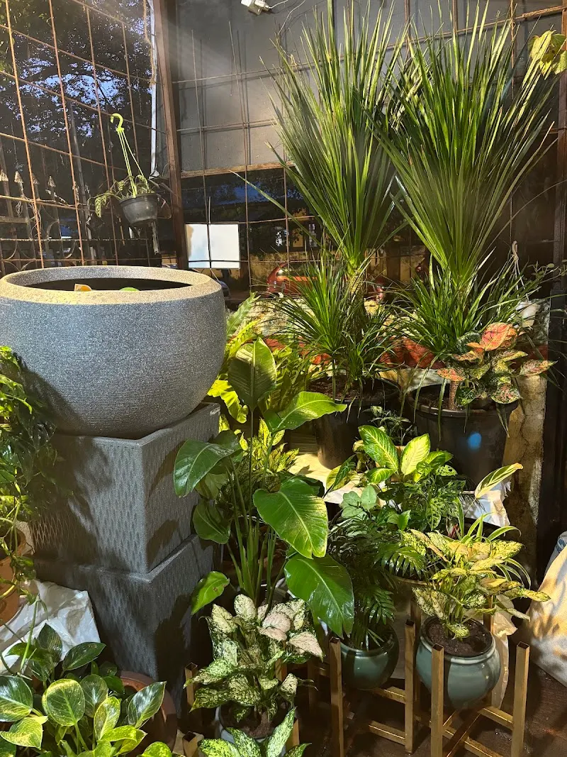 Indoor Greens