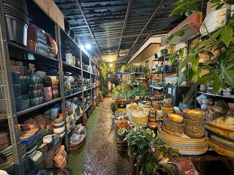 Pots & Planters